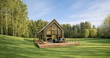 Haus in Vilkiskes, Litauen