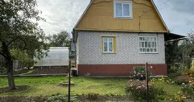 Dom w Rakauski sielski Saviet, Białoruś