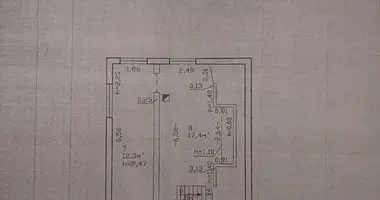 Haus in Ulukauski sielski Saviet, Belarus