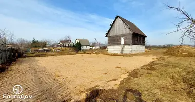 Grundstück in Dziamidavicki sielski Saviet, Belarus