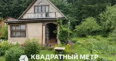House in Piatryskauski sielski Saviet, Belarus