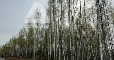 Grundstück in municipalnyj okrug Istra, Russland