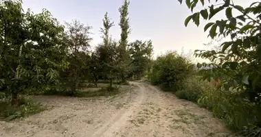 Parcela en Derecine, Turquía