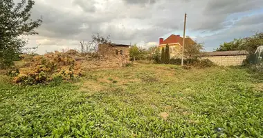 Plot of land in Balsavik, Belarus