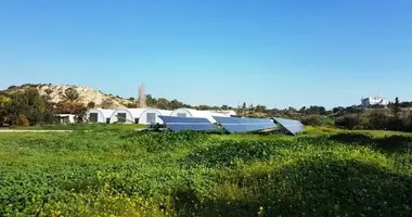 Apartment in Kalavasos, Cyprus