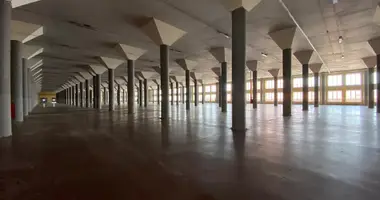 Lager 8 600 m² in Dserschinski, Russland