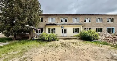 Nieruchomości komercyjne 619 m² w Lubań, Białoruś