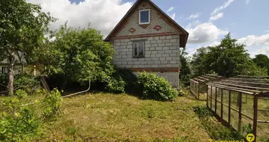 House in Fanipalski sielski Saviet, Belarus