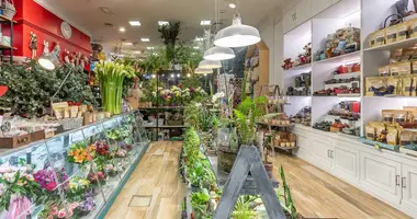 Propriété commerciale 300 m² dans Barcelone, Espagne