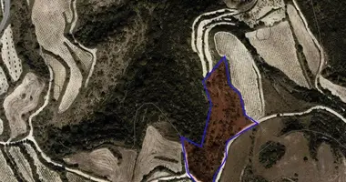 Apartment in Kathikas, Cyprus