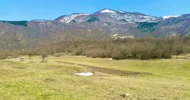 Участок земли в Колашин, Черногория