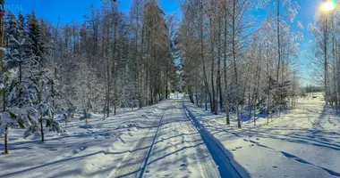 Дом в Алитус, Литва