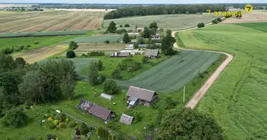 Dom w Zodzinski sielski Saviet, Białoruś