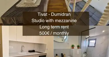 Long term rent studio in Dumidran 2 (2.4)  DUM043 500e/m  in Mrcevac, Montenegro