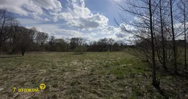 Grundstück in Dziamidavicki sielski Saviet, Belarus