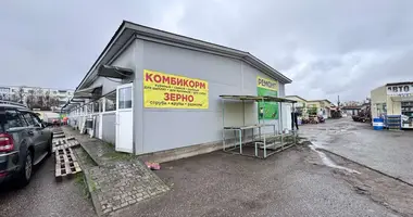 Gewerbefläche 20 m² in Babrujsk, Belarus