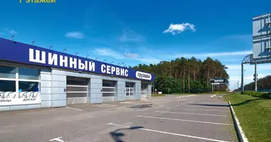 Commercial property 248 m² in Minsk, Belarus