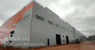 Bureau 1 416 m² dans Fanipal, Bélarus