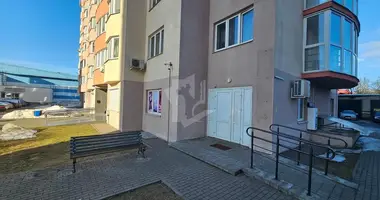 Commercial property 60 m² in Minsk, Belarus