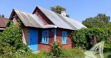 Działka w Rokitnica, Białoruś