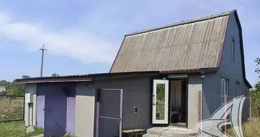 Haus in Carnaucycki sielski Saviet, Belarus