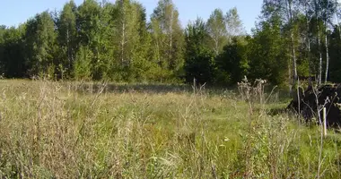 Plot of land in Otwock, Poland