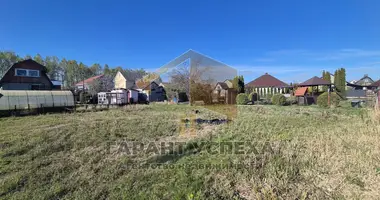 Plot of land in Muchaviecki sielski Saviet, Belarus