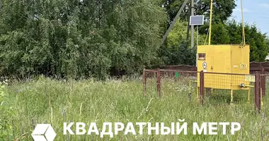 Grundstück in Astrosycki sielski Saviet, Belarus