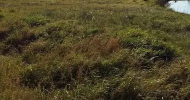 Parcela en Alytus, Lituania