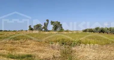 Plot of land in Vatopedi, Greece