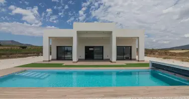 Villa 3 bedrooms in el Pinos Pinoso, Spain