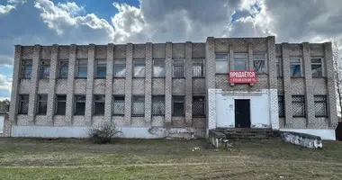 Propiedad comercial 865 m² en Borisov, Belarús