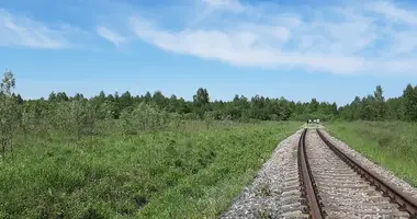 Terrain dans Kstovo, Russie