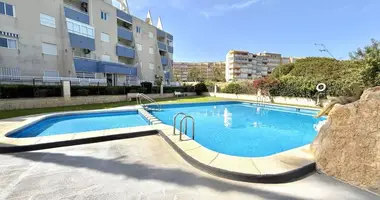 2 bedroom apartment in Guardamar del Segura, Spain