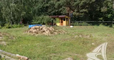 Участок земли в Мотыкальский сельский Совет, Беларусь