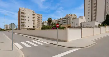 Apartment in Torrevieja, Spain