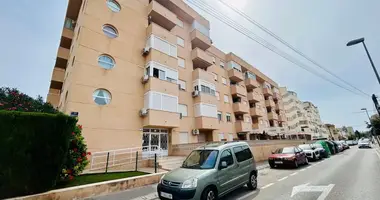2 bedroom apartment in Torrevieja, Spain