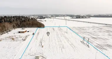 Plot of land in Luksiai, Lithuania