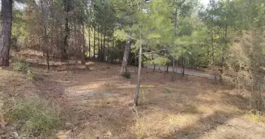 Plot of land in Kato Platres, Cyprus