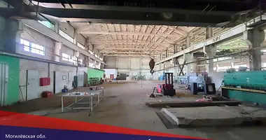 Manufacture 4 619 m² in Krychau, Belarus