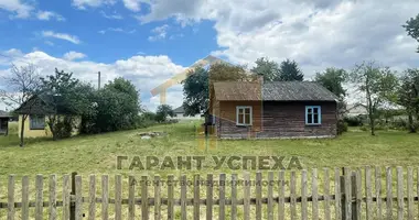 Haus in Barysy, Belarus