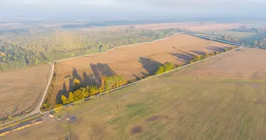 Działka w Zantes pagasts, Łotwa