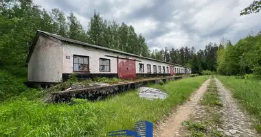 Commercial property 760 m² in Novakolasauski sielski Saviet, Belarus