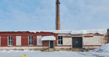 Склад 1 821 м² в Красненский сельский Совет, Беларусь