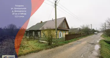  in Dziamidavicki sielski Saviet, Belarus