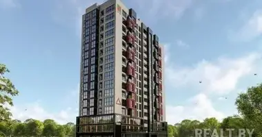 2 room apartment in Minsk, Belarus