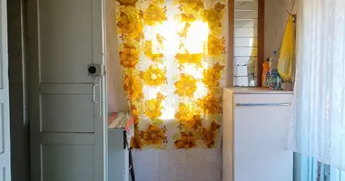 Dom w Zhunski sielski Saviet, Białoruś