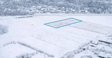 Działka w Birsztany, Litwa