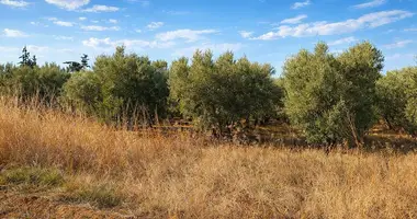 Plot of land in Nea Triglia, Greece