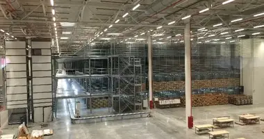Warehouse 24 425 m² in Domodedovo, Russia